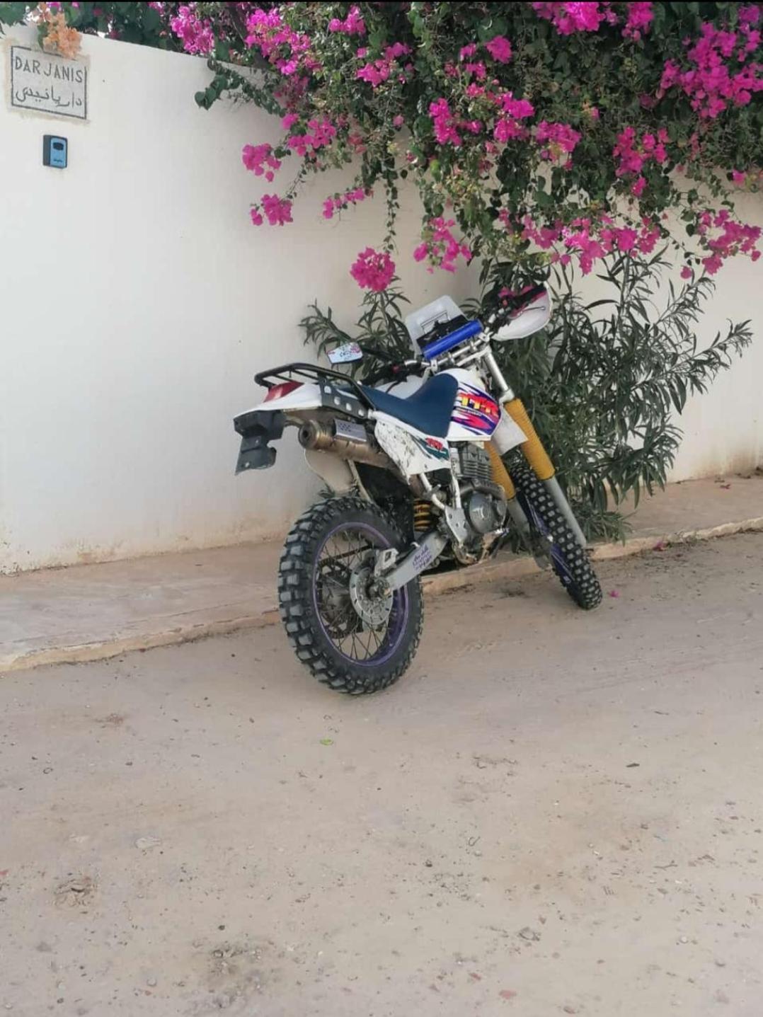 Dar Janis Djerba دار يانيس جربة Apartment Houmt Souk  Exterior photo